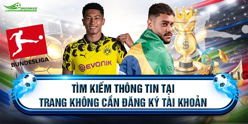 Tìm kiếm thông tin tại trang không cần đăng ký tài khoản